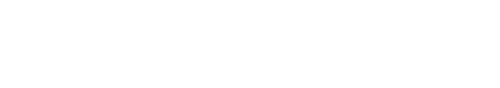 satsol simple logo white